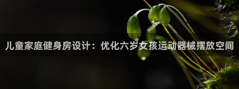 尊龙会ktv价格：儿童家庭健身房设计：优化六岁女孩运