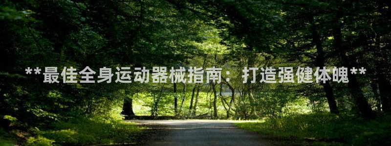 尊龙凯时麻将胡了：**最佳全身运动器械指南：打造强健
