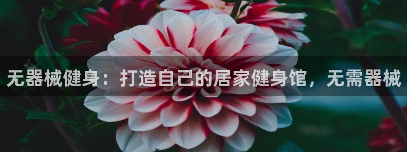尊龙凯时导航菜单首页：无器械健身：打造自己的居家健身