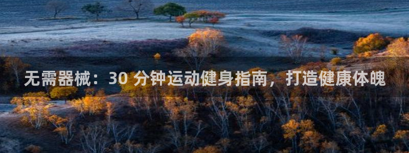 凯时官网手机版首页：无需器械：30 分钟运动健身指南
