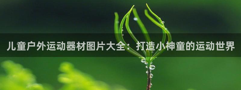 z6尊龙凯时官方：儿童户外运动器材图片大全：打造小神