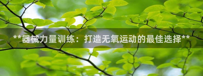 尊龙凯时人生就是博官网登录：**器械力量训练：打造无
