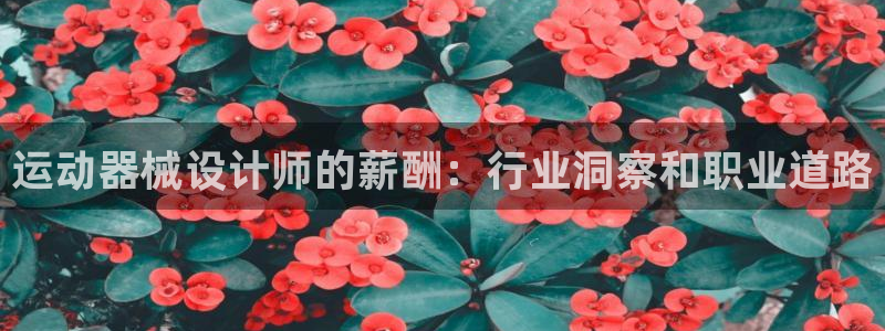 尊龙APP客户端平台：运动器械设计师的薪酬：行业洞察