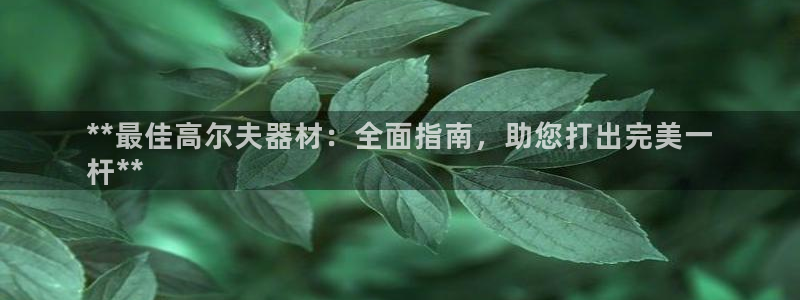 尊龙新版app首页：**最佳高尔夫器材：全面指南，助