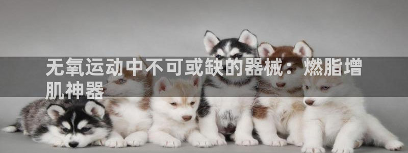 尊龙专访：无氧运动中不可或缺的器械：燃脂增
肌神器