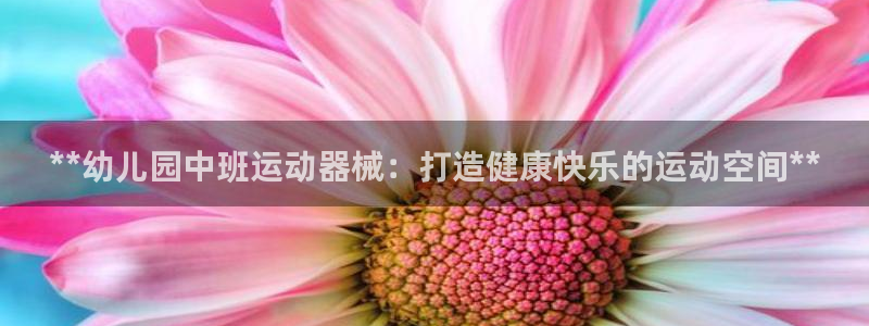 尊龙凯时这个平台怎么样：**幼儿园中班运动器械：打造