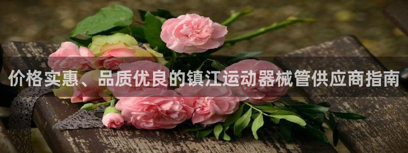 尊龙会ktv价格：价格实惠、品质优良的镇江运动器械管