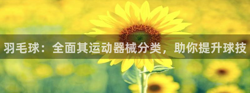 尊龙人生就是博旧版：羽毛球：全面其运动器械分类，助你
