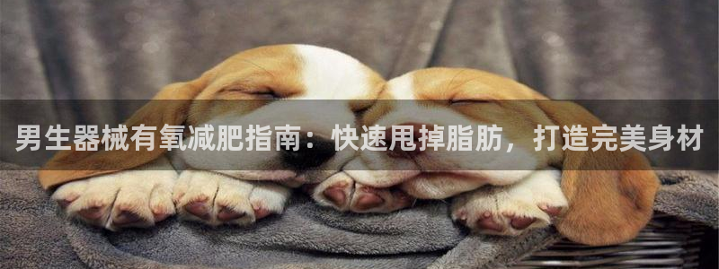 尊龙官方app下载：男生器械有氧减肥指南：快速甩掉脂
