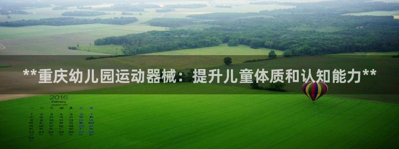 尊龙凯时logo：**重庆幼儿园运动器械：提升儿童体