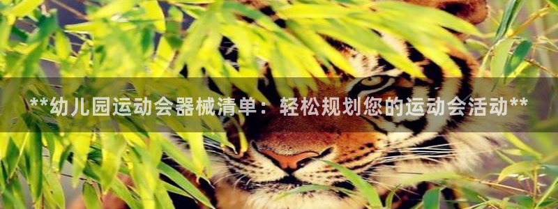 Z6尊龙官网入口：**幼儿园运动会器械清单：轻松规划