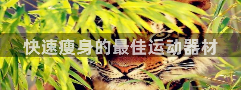 尊龙凯时公司官网：快速瘦身的最佳运动器材