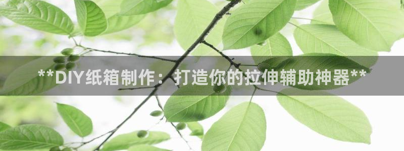 z6com尊龙凯时代理：**DIY纸箱制作：打造你的