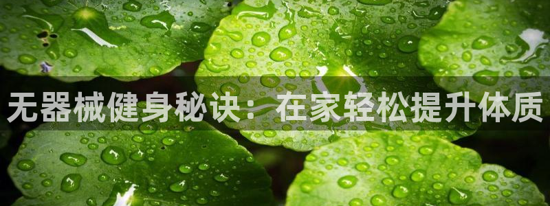 尊龙凯时取款不成功：无器械健身秘诀：在家轻松提升体质