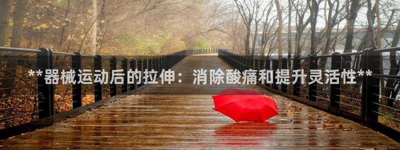 尊龙凯时平台还是万博好：**器械运动后的拉伸：消除酸