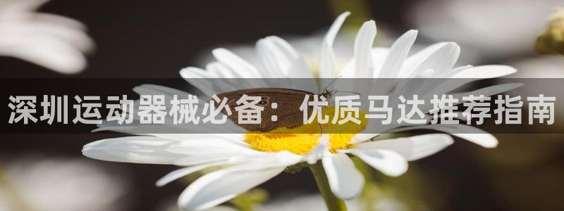 尊龙下载推荐网站