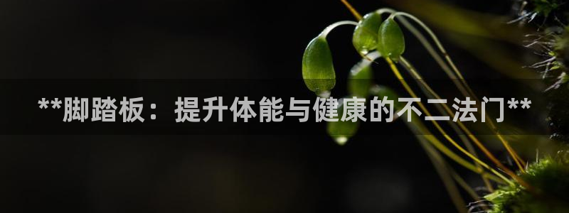 尊龙传奇英文怎么写：**脚踏板：提升体能与健康的不二