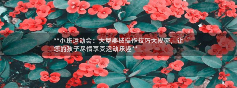 凯时登录平台去AG发财网：**小班运动会：大型器械操