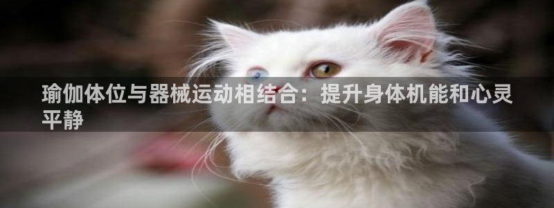 尊龙官网手：瑜伽体位与器械运动相结合：提升身体机能和