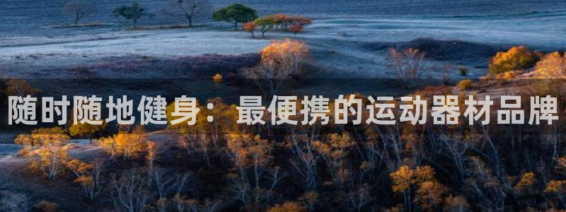 尊龙app怎么样：随时随地健身：最便携的运动器材品牌