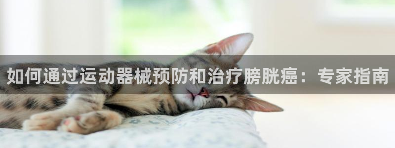 尊龙凯时网站赌愽做假吗：如何通过运动器械预防和治疗膀