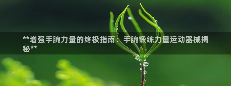 KB88凯时官网登录：**增强手腕力量的终极指南：手
