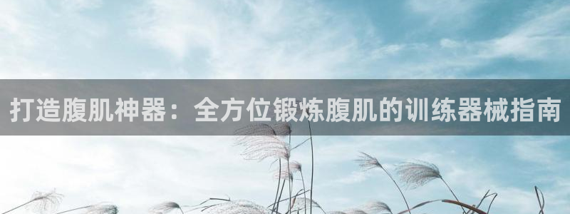 尊龙d88会员：打造腹肌神器：全方位锻炼腹肌的训练器
