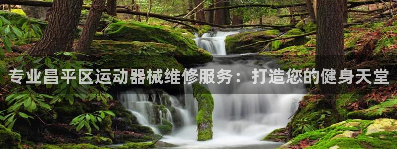尊龙凯时人生就是搏官：专业昌平区运动器械维修服务：打