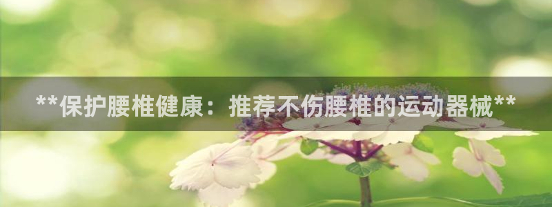 尊龙凯时vip：**保护腰椎健康：推荐不伤腰椎的运动