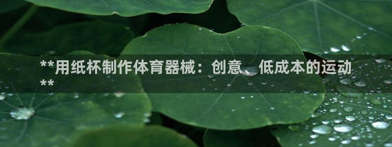 尊龙t500和t300区别：**用纸杯制作体育器械：