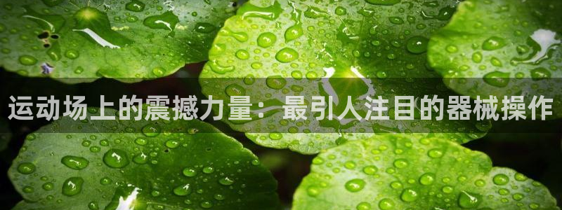 尊龙,人生就是博!登录国际
