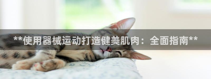尊龙凯时存款不上分