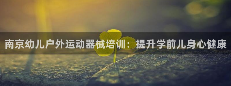 凯时kb88会员登录：南京幼儿户外运动器械培训：提升