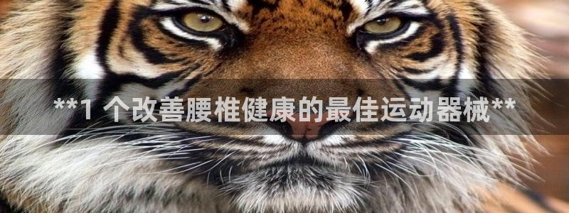 尊龙凯时台子：**1 个改善腰椎健康的最佳运动器械*