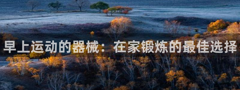 尊龙凯时代理能提出来不：早上运动的器械：在家锻炼的最