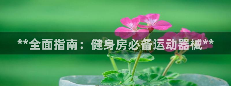 尊龙凯时是赌博嘛：**全面指南：健身房必备运动器械*