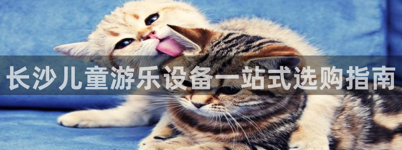 尊龙专访视频：长沙儿童游乐设备一站式选购指南