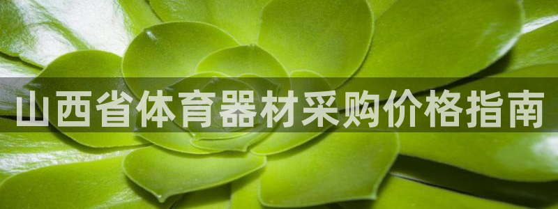 尊龙游戏app官方网站：山西省体育器材采购价格指南