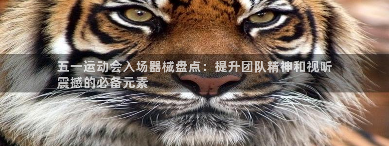 尊龙现金娱乐 下载：五一运动会入场器械盘点：提升团队