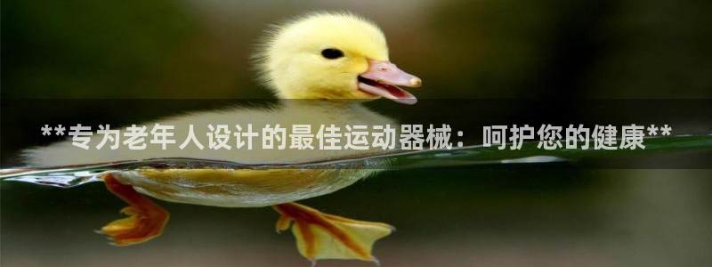 尊龙网址苹果版下载：**专为老年人设计的最佳运动器械