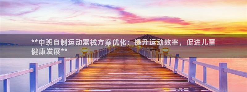 AG尊龙凯时注册：**中班自制运动器械方案优化：提升