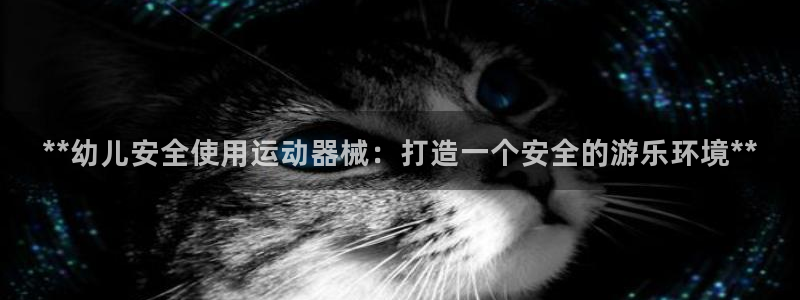 d88尊龙手机客户端下载：**幼儿安全使用运动器械：