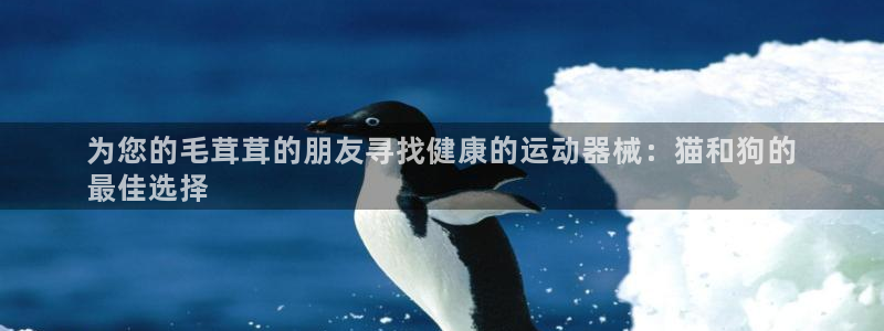 尊龙官方平台是正品吗：为您的毛茸茸的朋友寻找健康的运