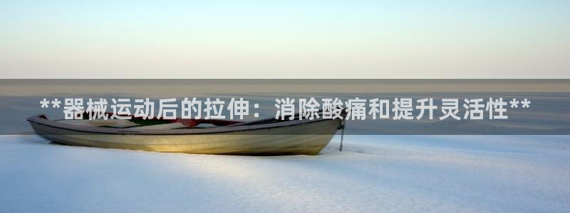 尊龙网站下分慢：**器械运动后的拉伸：消除酸痛和提升