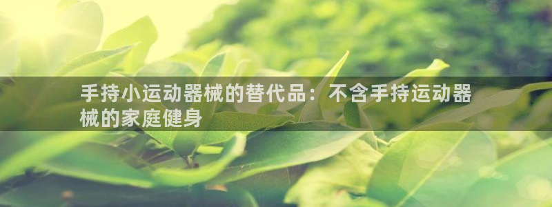 尊龙凯时产品种类：手持小运动器械的替代品：不含手持运