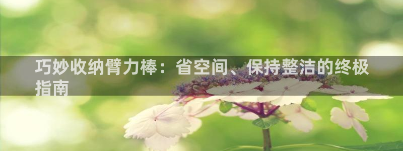 尊龙凯时存款多久到账：巧妙收纳臂力棒：省空间、保持整
