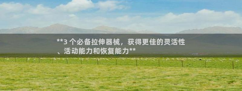 尊龙凯时开发：**3 个必备拉伸器械，获得更佳的灵活