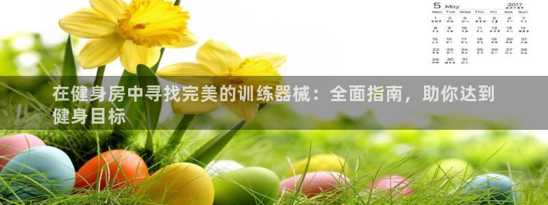 尊龙ag旗舰厅手机版：在健身房中寻找完美的训练器械：