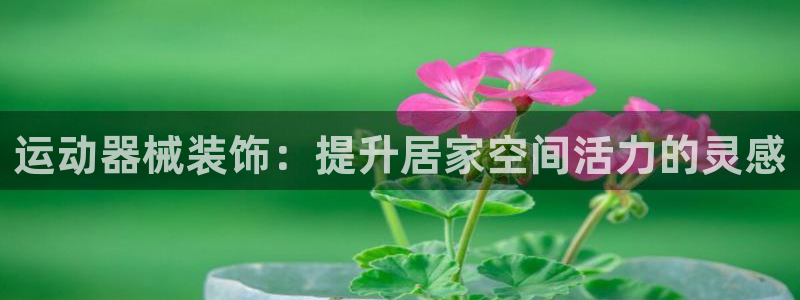 尊龙 ag：运动器械装饰：提升居家空间活力的灵感