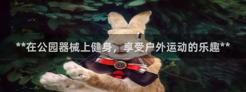 凯时官网手机版首页：**在公园器械上健身，享受户外运